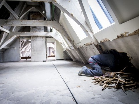 City Hall, Antwerp (B) - PROJECT UPDATE