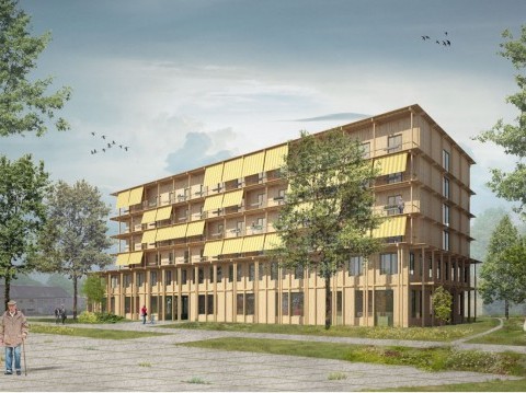 Meerminne